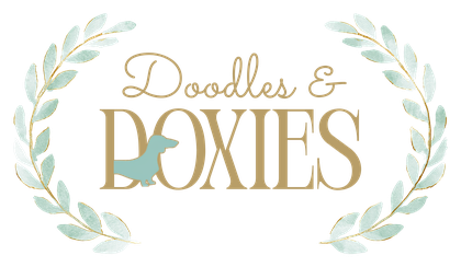 Doodles & Doxies