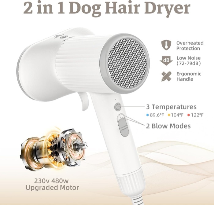 Blow Dryer Brush