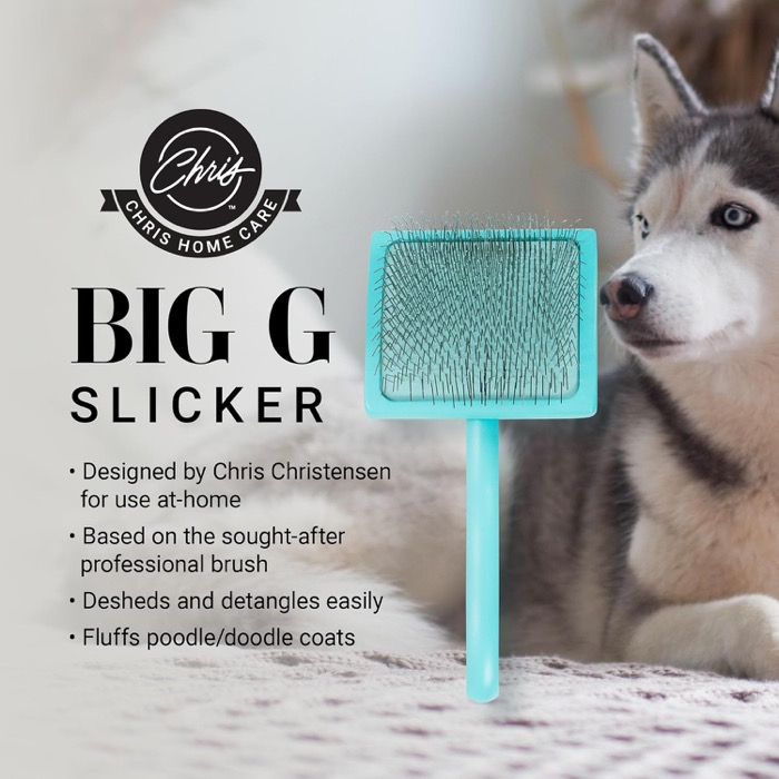 Our Favorite Brush