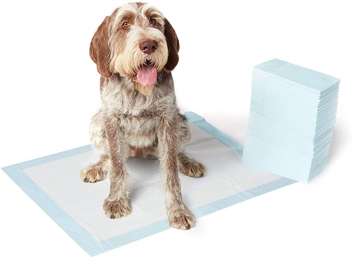 Puppy Pads