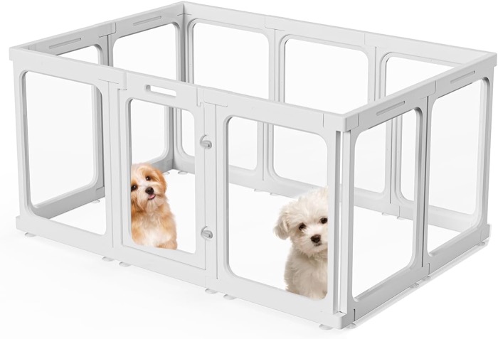 Puppy Playyard