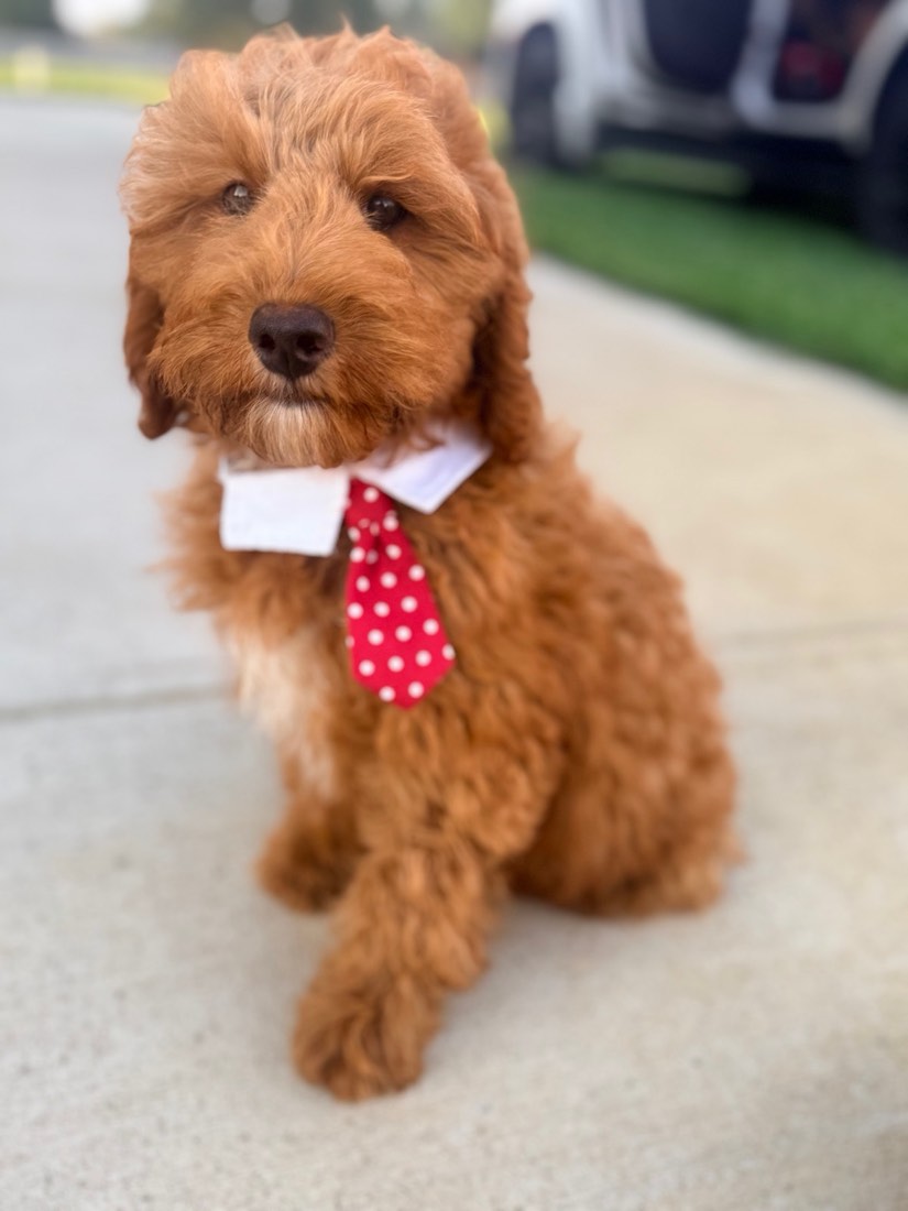 Copper